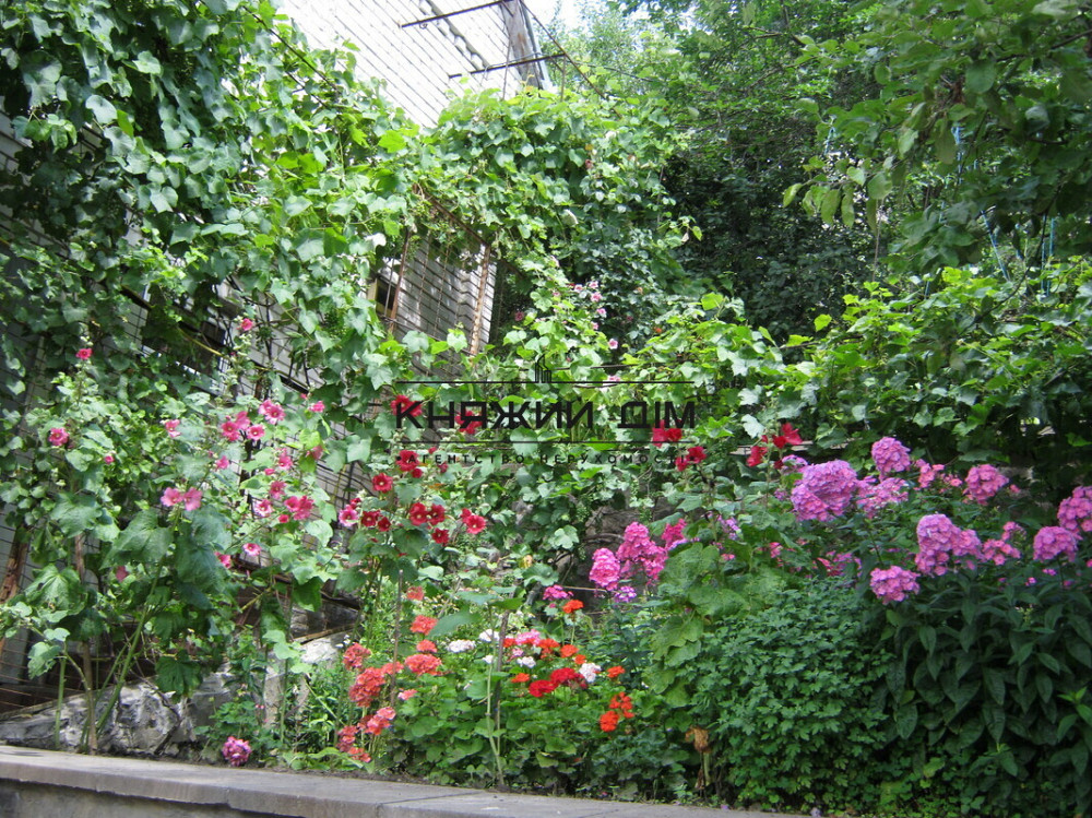 Оренда 1-кімнатної квартири студіо. ГАЗ. Приватний сектор. № 11201480 Київ - фото 7