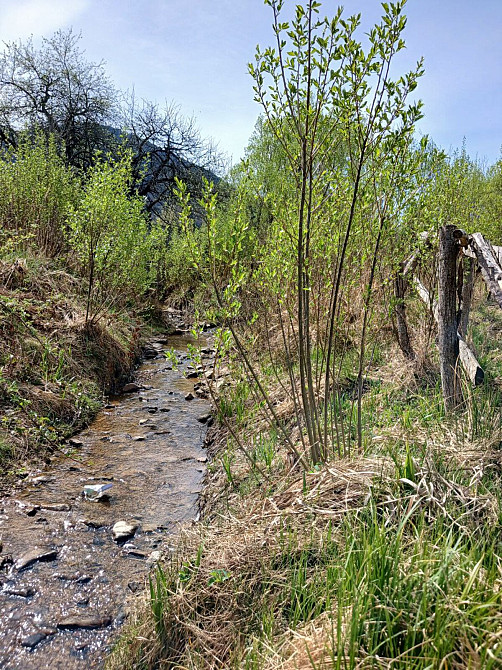 Продаж земельної ділянки 31 соток  - photo 7