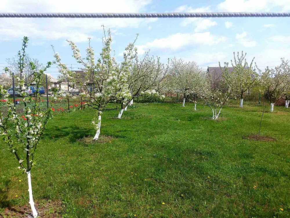 Продаж нового будинку с.Соколівка біля Жадова. Кропивницький - фото 8