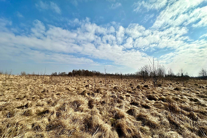 Продаж с/г земельної ділянки — Пустомитівський район Солонка - фото 6