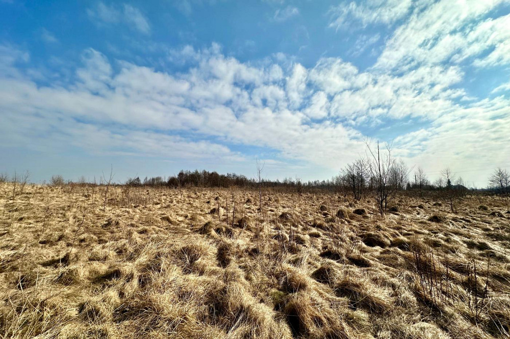 Продаж земельної ділянки 86 соток Солонка - фото 6