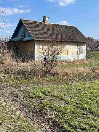 Продаж земельної ділянки 25 соток на вул. Івана Франка Голишів