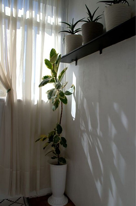 Продаж Квартира 3-кімнатна, 3/16 поверх на Мишуги, 3 Kiev - photo 9