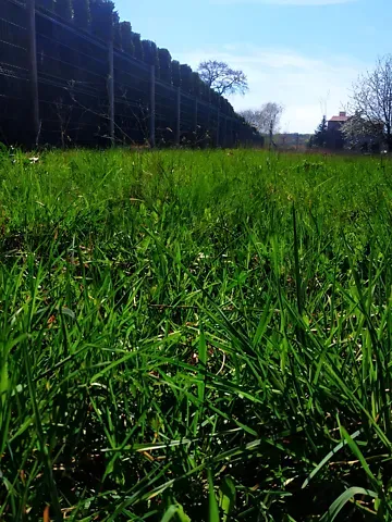 For sale land plot  area 15 ares Галицька вулиця  - photo 2