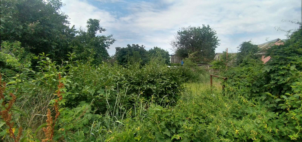 Продам дом на участке 10 соток Дача Ковалевского. Одеса - фото 5