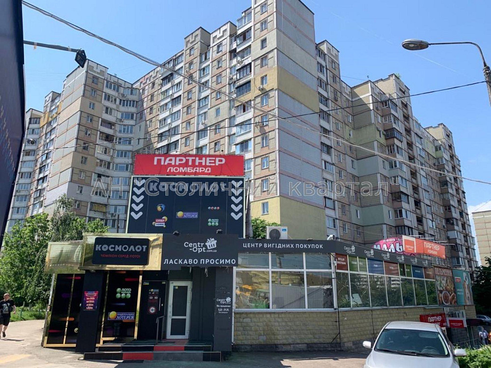 Оренда Будинок на Академіка Єфремова вул., 3 Київ - фото 1