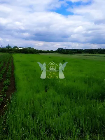 Продажа земельного участка  площадь 23 сот Долинна вулиця  - изображение 4