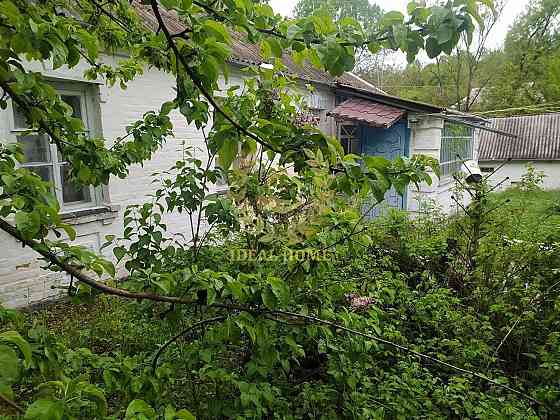 Продам затишний будинок у Лісовичах 