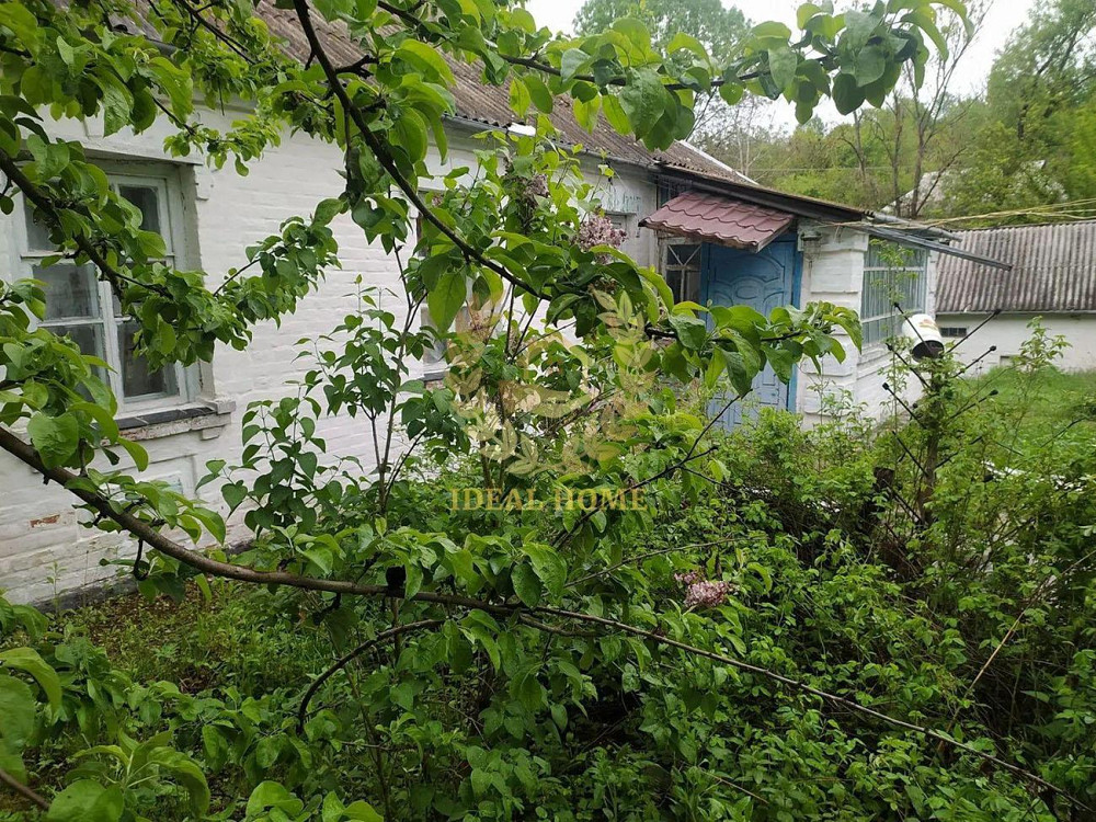 Продам затишний будинок у Лісовичах  - фото 3