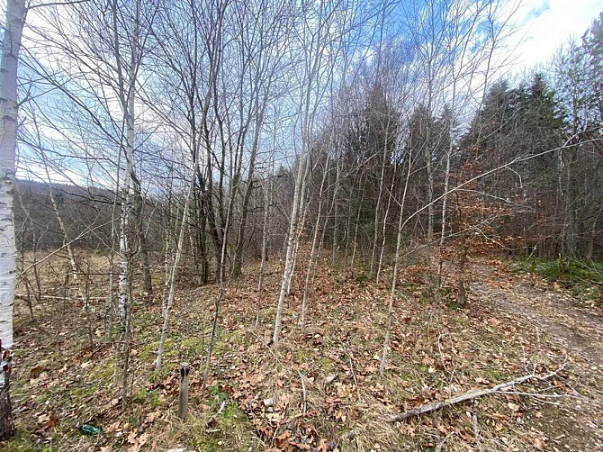 Продаж земельної ділянки 8 соток Борислав - изображение 4