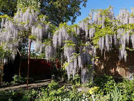 Продається будинок з ексклюзивною земельною ділянкою в центрі міста. Кропивницький