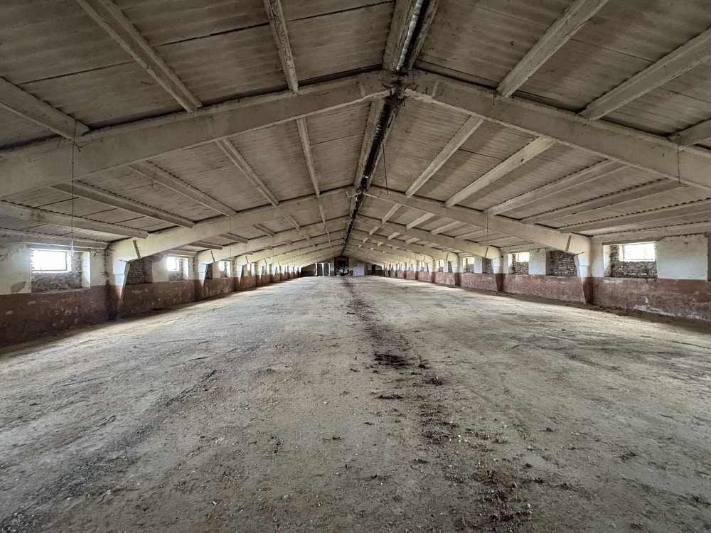 Оренда приміщення вільного призначення на вул. Шевченка поверх - 1/1  - фото 11