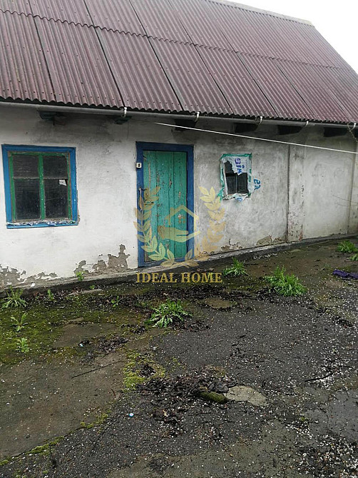 Продаж 1 поверхового будинку с. Устимівка Ustymivka - photo 7