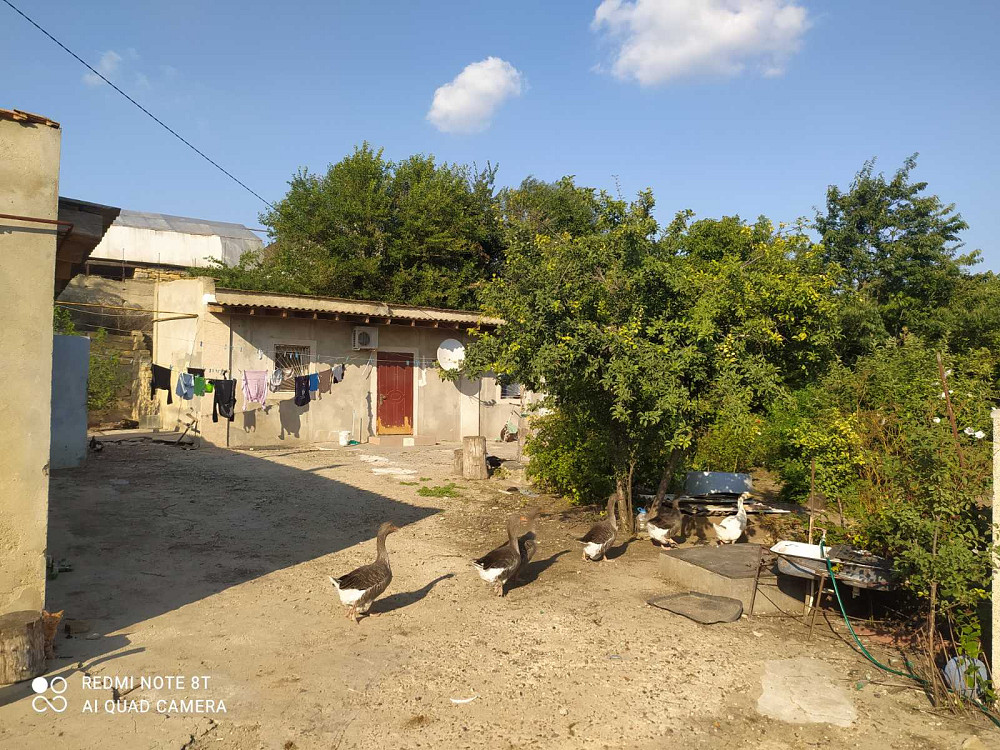 Предлагается к продаже частный дом с готовым бизнесом (действующим фермерским хозяйством) Нерубайське - фото 13