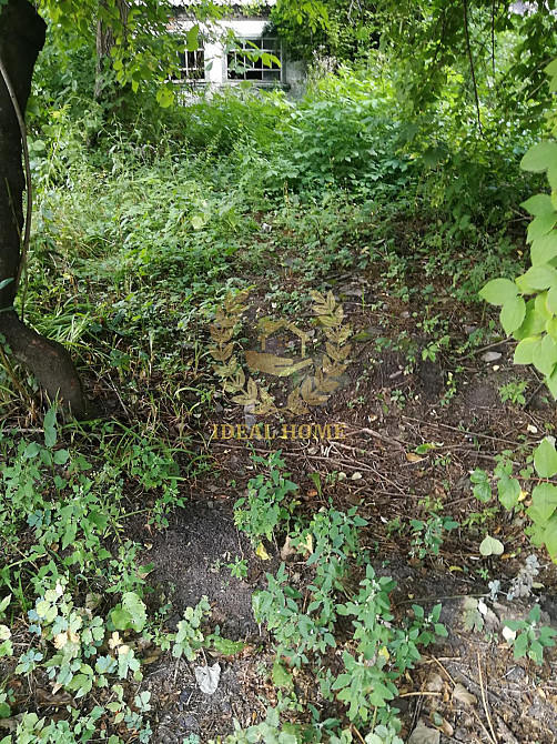 Продаж земельної ділянки 30 соток на Кольцевая ул. Ustymivka - photo 8