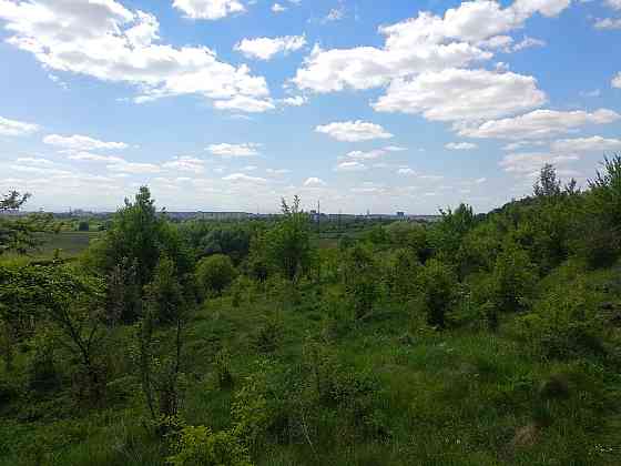 Продаж земельної ділянки 16 соток на Урочище Над Гумнищем 