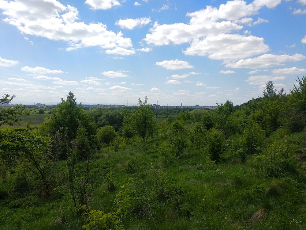 Продаж земельної ділянки 16 соток на Урочище Над Гумнищем  - photo 1