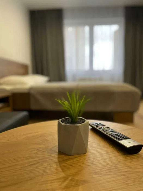 Оренда Квартира 1-кімнатна, 7/24 поверх на ул. Софии Русовой Київ - фото 3