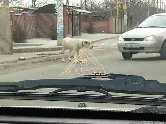 Продаж земельної ділянки 0.1 соток на переулок Комарова, 5 Нерубайське