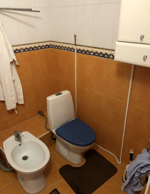 Продаж 1-поверховий Будинок з ділянкою 5 сот 360 кв.м 7+ кімн. на Східна Zhytomyr - photo 4