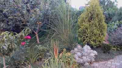 Продаж земельної ділянки 0.1 соток на ул. Тульская, 27б Одеса