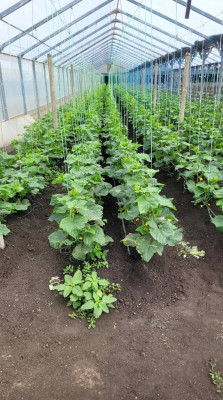 Продаж земельної ділянки 0 соток на ул. Молодіжна, 5 Rozdil'na - photo 1