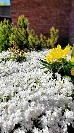 Продаж 2-поверховий Будинок з ділянкою 25 сот 520 кв.м 6 кімн. на Академічна вул. Гореничі