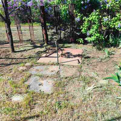 Продаж земельної ділянки 0.1 соток на СТ Межлиманье ( ул. Виноградная), 467 Протопоповка