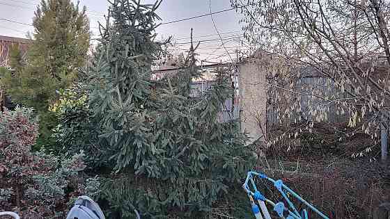 Дом на участке 5,14  соток Д.Ковалевского Одеса