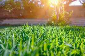 Продаж земельної ділянки 6 соток на ул. Эдем кооп, 30 Лиманка