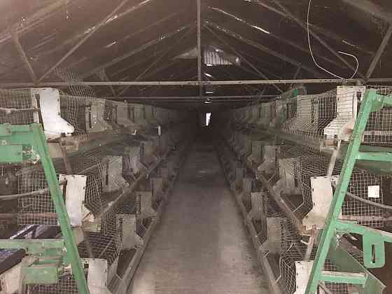 Продаж комерційне приміщення на ул. Хуторская, 3 приміщень - 4, поверх - 1 Мирне (Біляївський район)