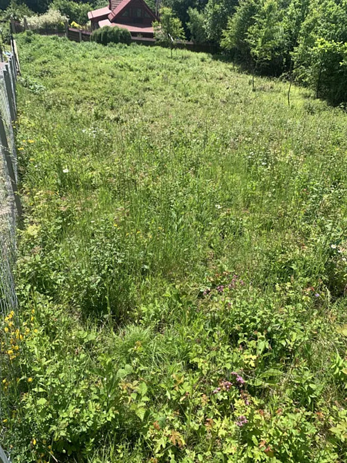 Продаж земельної ділянки 8 соток Посіч - фото 4