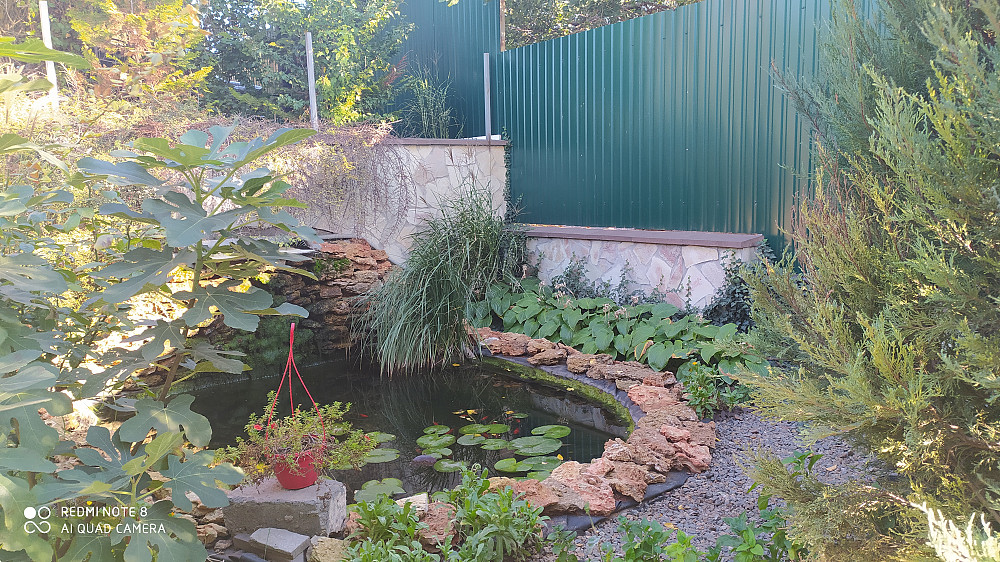 Продаётся прекрасный дом-усадьба в с. Великий Дальник Великий Дальник - фото 4