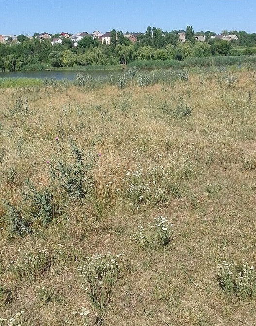 Продаж земельної ділянки 12 соток Бережинка (Кіровоградський район) - фото 6