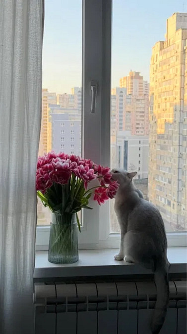 Оренда Квартира 2-кімнатна, 9/14 поверх на Ревуцького, 44 Київ - фото 13