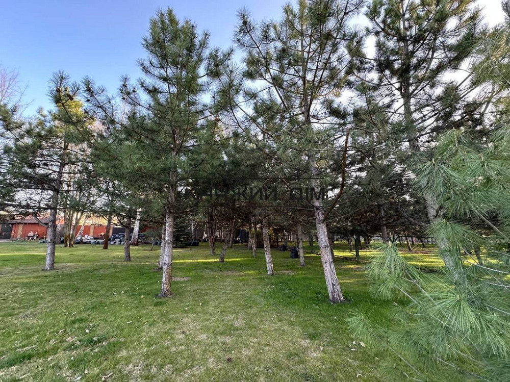 Продаж земельної ділянки 25 соток Ivankovychi - photo 4