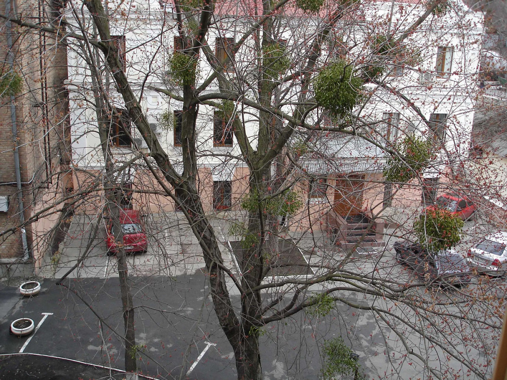 Оренда Квартира 1-кімнатна, 4/5 поверх на Жилянська, 30/32а Київ - фото 11