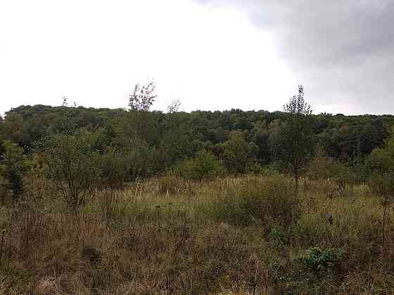 Продаж земельної ділянки 35.3 соток Pavlivka