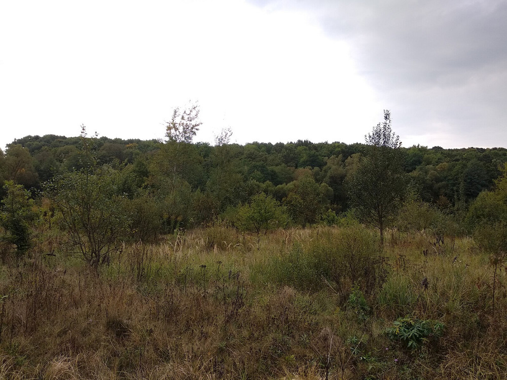 Продаж земельної ділянки 35.3 соток Pavlivka - photo 4