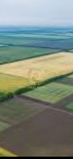 Продаж земельної ділянки 50 соток на Дружбы ул., 1 Lypivka - photo 15