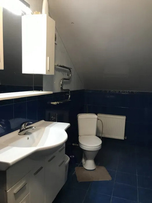 Продаж Будинок 4-кімнатний на ул. Сільськогосподарська, 32а Мала Олександрівка - фото 11