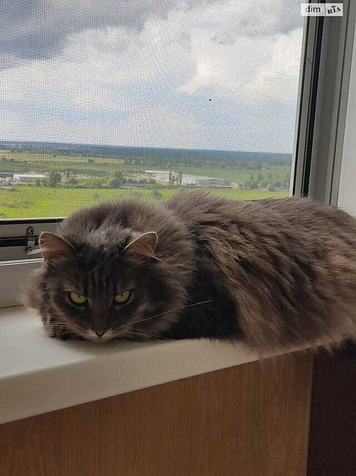 Продаж Квартира 3-кімнатна, 19/25 поверх на Милославська вул., д. 4 Киев - изображение 17