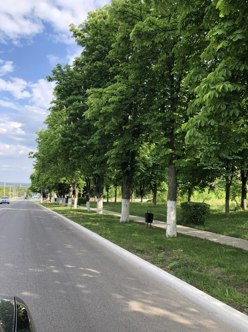 Продаж Будинок Ладижин - фото 18