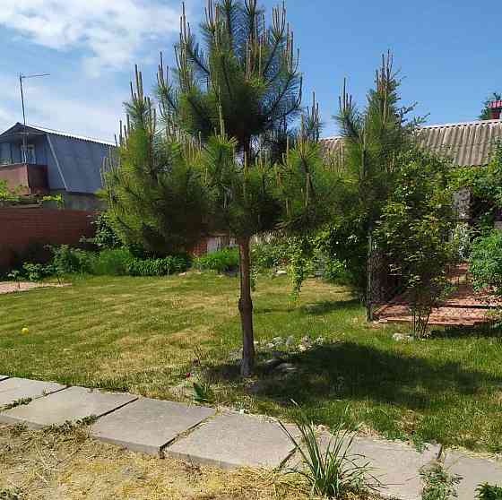 Продам 2 дома  у моря  Каролино Бугаз, ст. "Студенческая" 