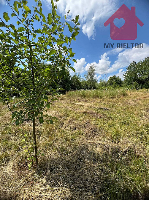 Продаж земельної ділянки 12 соток на Словацький кордон Uzhhorod - photo 4