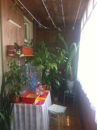 Продам 3х комнатную квартиру на Черноморского Козачества (р-н радиорынка) Одесса