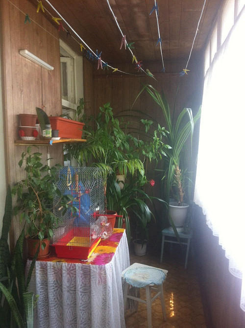 Продам 3х комнатную квартиру на Черноморского Козачества (р-н радиорынка) Одеса - фото 3