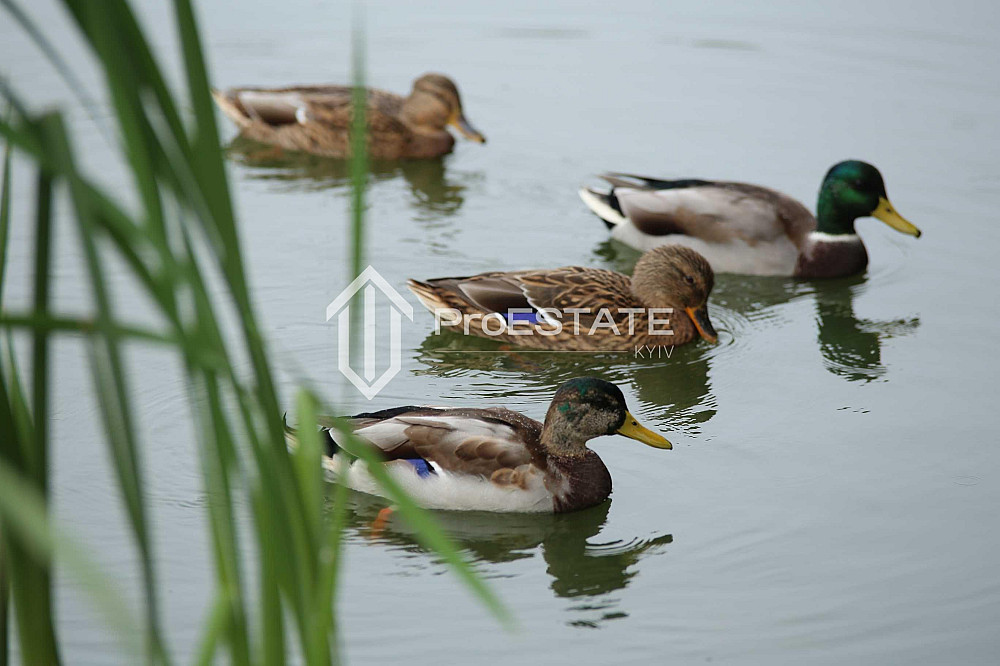 Продаж Квартира 3-кімнатна, 24/26 поверх на вул. Князя Романа Мстиславича Киев - изображение 19