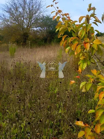 Продажа земельного участка  площадь 6.3 сот Яблунева вулиця  - изображение 6