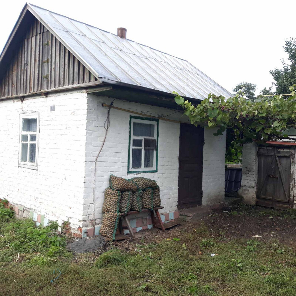 Продаж Будинок на улица Луговая, д. Петрівка (Щорський район) - фото 8